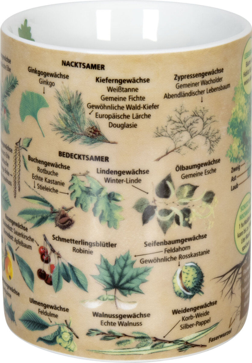 KÖNITZ 1113302443 Wissensbecher BÄUME 490 ml aus Porzellan / Motivbecher – Bild 4