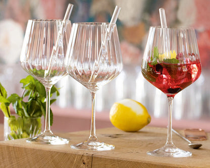 NACHTMANN 103143 TASTES GOOD Gin & Tonic Gläser 4er Set und Glastrinkhalme – Bild 6