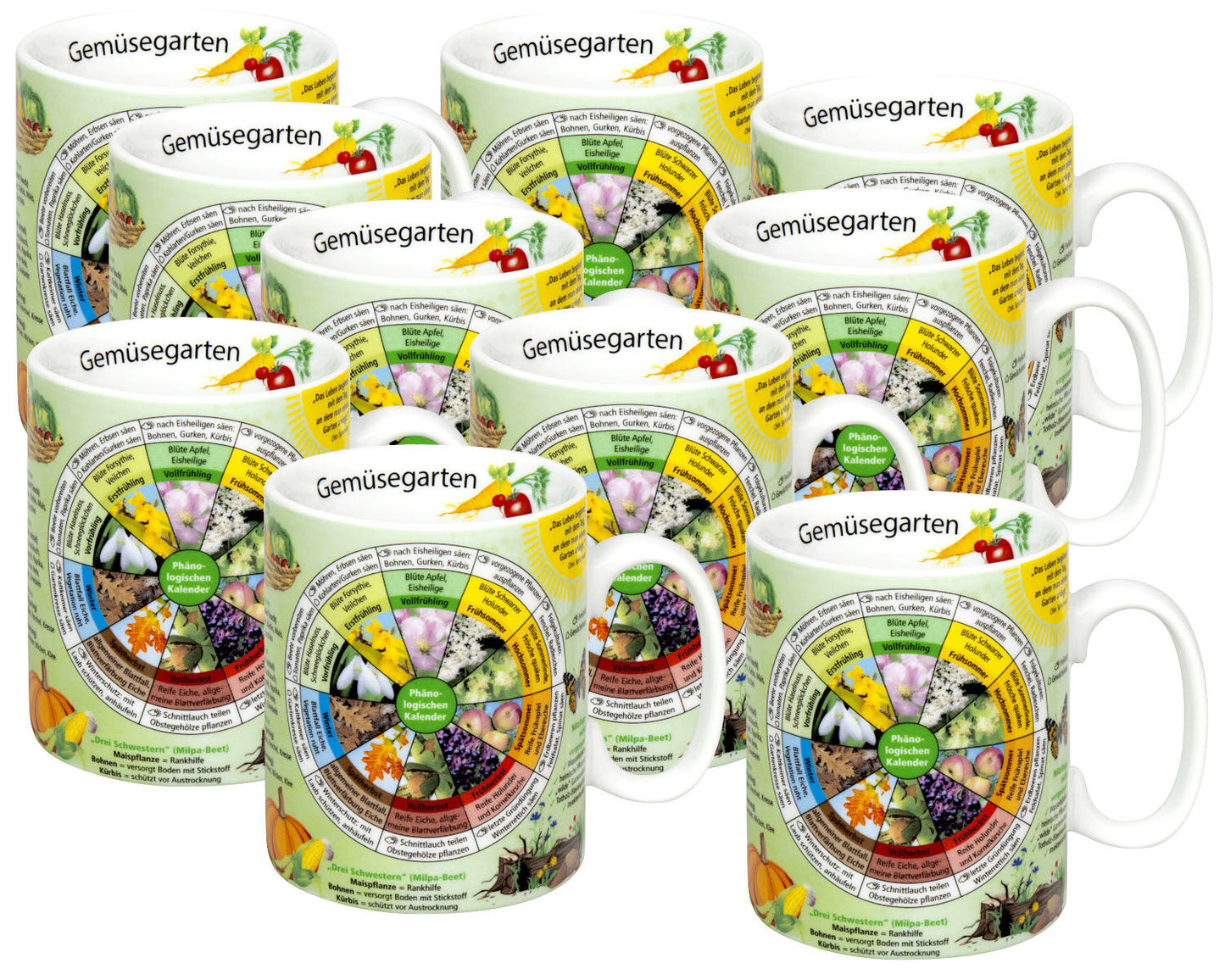 10er SET KÖNITZ Wissensbecher GEMÜSEGARTEN 460 ml aus Porzellan / Motivbecher