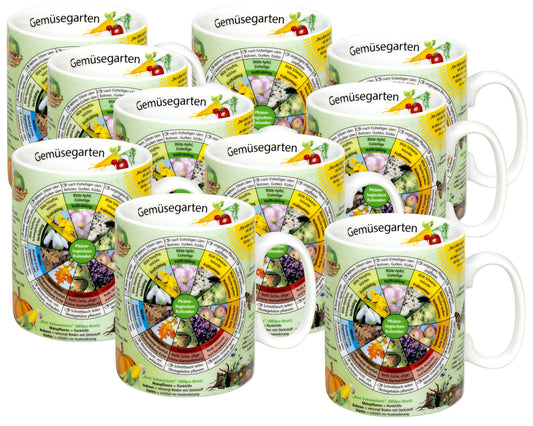 10er SET KÖNITZ Wissensbecher GEMÜSEGARTEN 460 ml aus Porzellan / Motivbecher