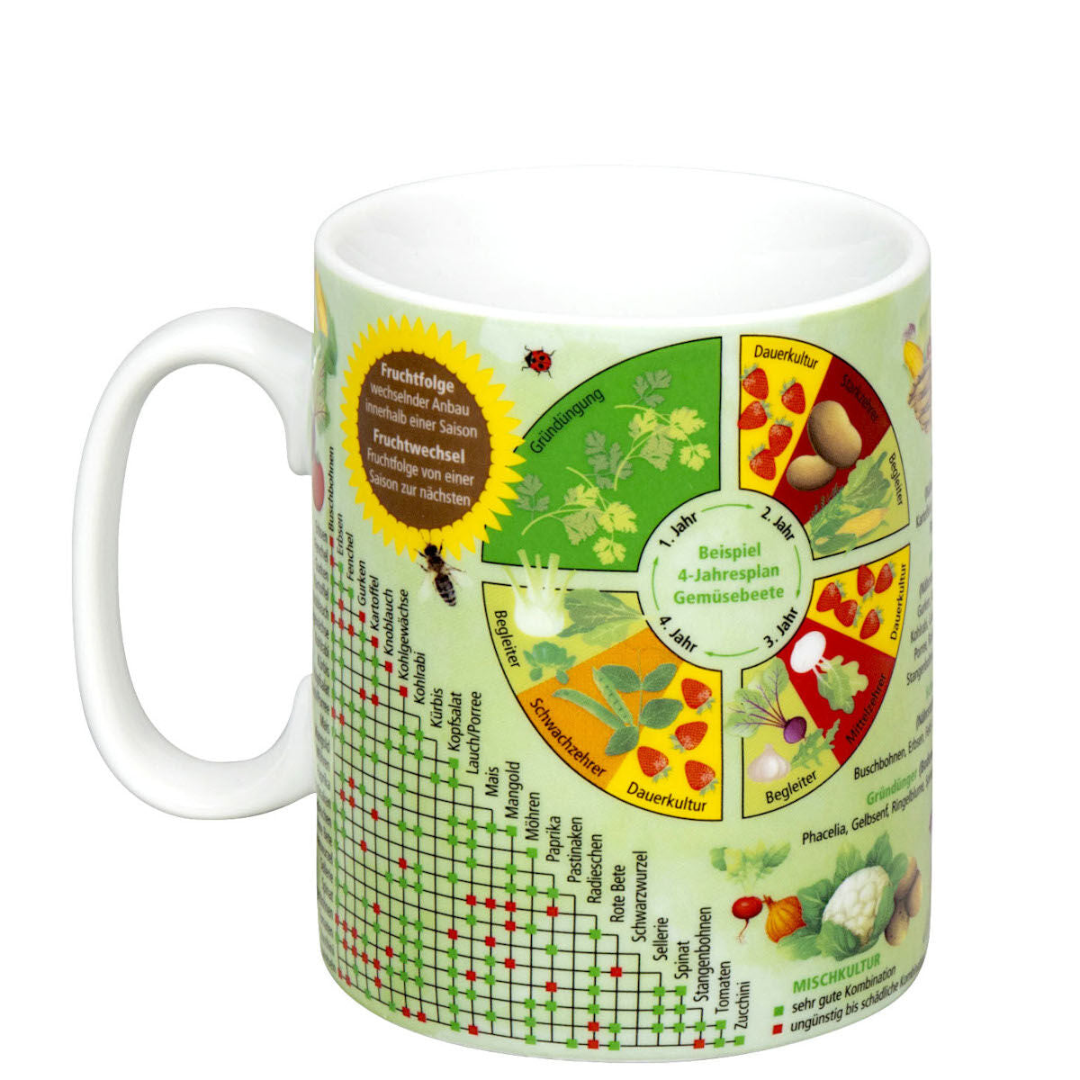 10er SET KÖNITZ Wissensbecher GEMÜSEGARTEN 460 ml aus Porzellan / Motivbecher – Bild 3