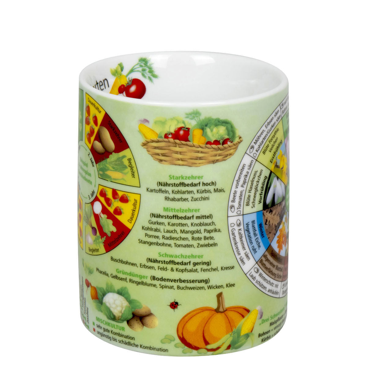 KÖNITZ Wissensbecher GEMÜSEGARTEN 460 ml aus Porzellan / Motivbecher – Bild 4