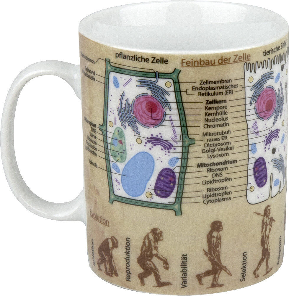 KÖNITZ 1113301624 Wissensbecher BIOLOGIE 490 ml aus Porzellan / Motivbecher – Bild 2