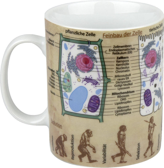 KÖNITZ 1113301624 Wissensbecher BIOLOGIE 490 ml aus Porzellan / Motivbecher – Bild 2
