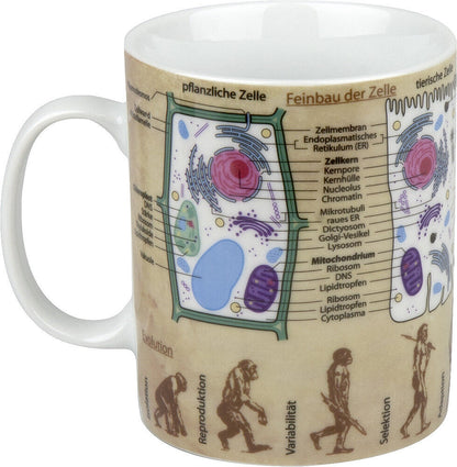 10er SET KÖNITZ 1113301624 Wissensbecher BIOLOGIE 490 ml aus Porzellan / Motivbecher – Bild 3