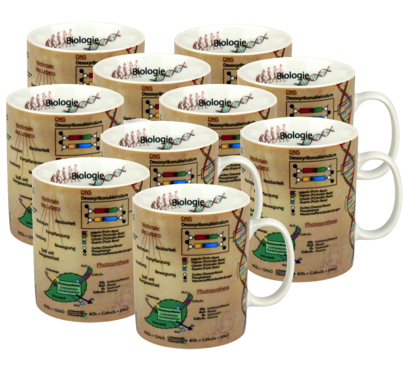 10er SET KÖNITZ 1113301624 Wissensbecher BIOLOGIE 490 ml aus Porzellan / Motivbecher