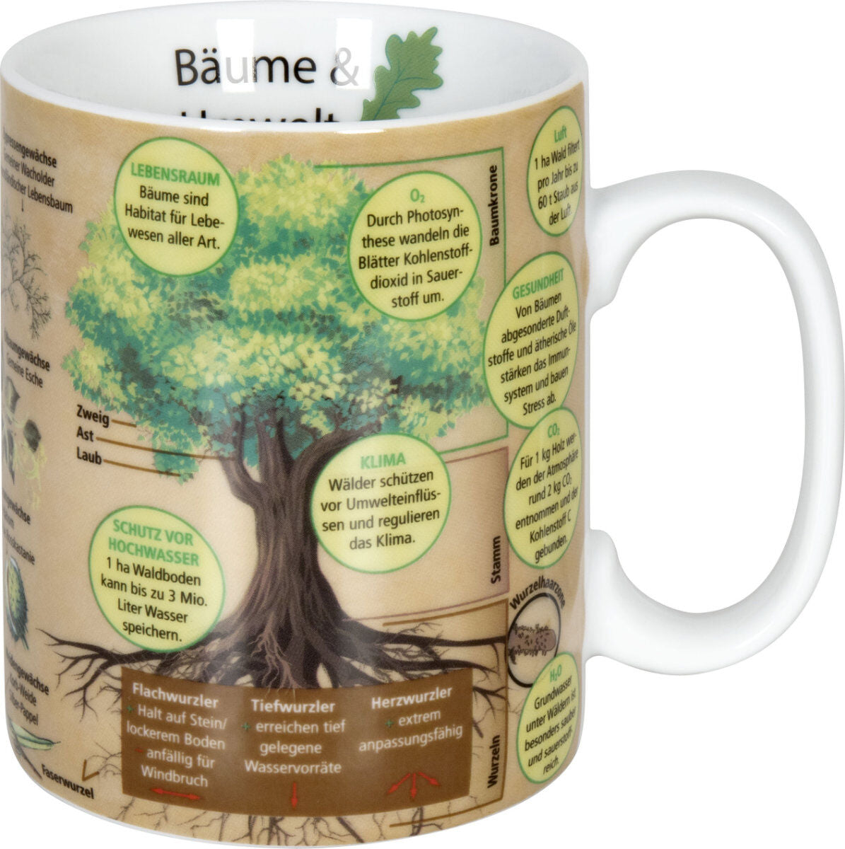KÖNITZ 1113302443 Wissensbecher BÄUME 490 ml aus Porzellan / Motivbecher