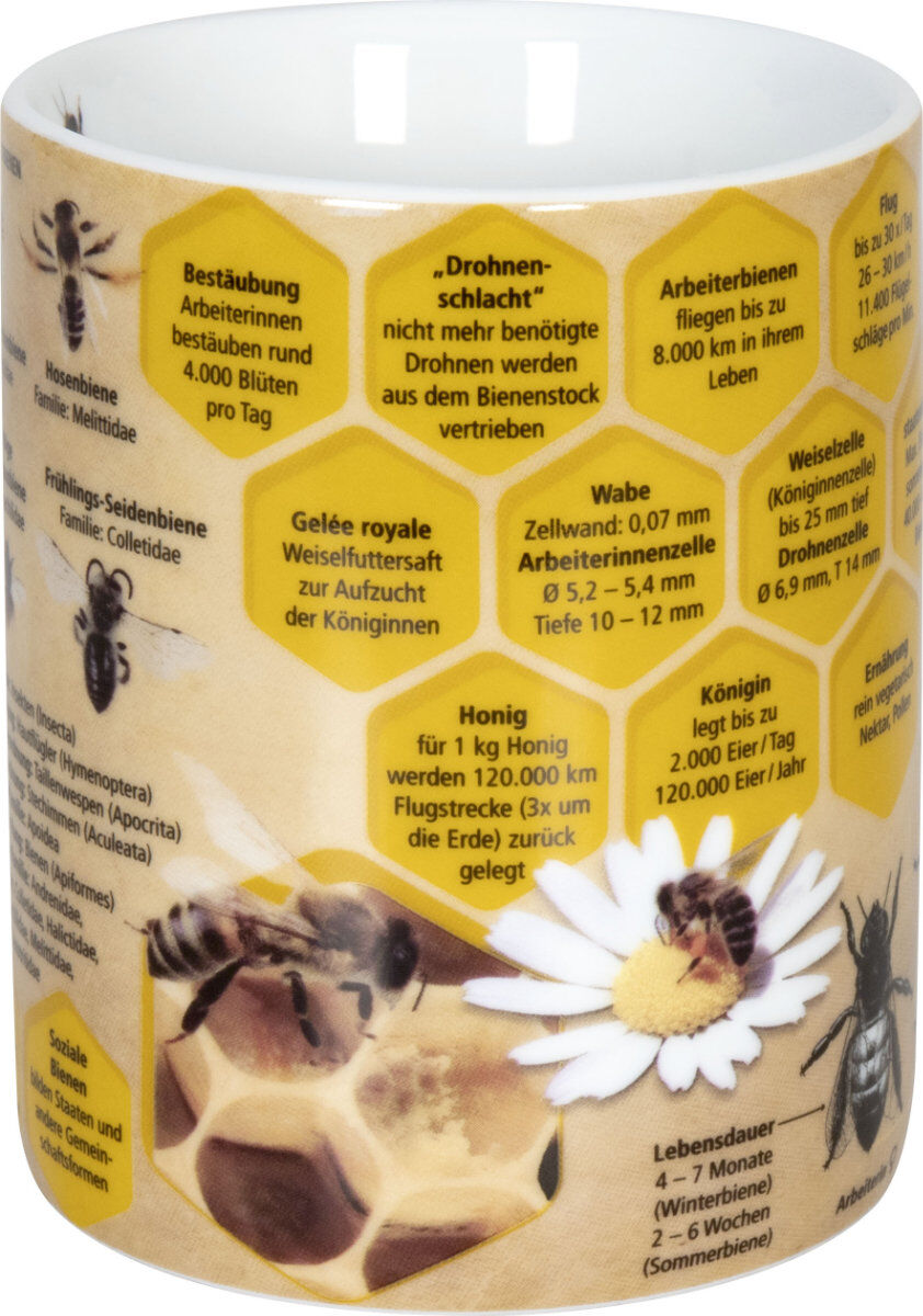 KÖNITZ 1113302445 Wissensbecher BIENE 490 ml aus Porzellan / Motivbecher – Bild 4