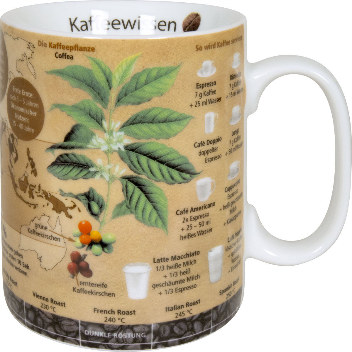 10er SET KÖNITZ 1113302637 Wissensbecher KAFFEEWISSEN 490 ml aus Porzellan / Motivbecher – Bild 2