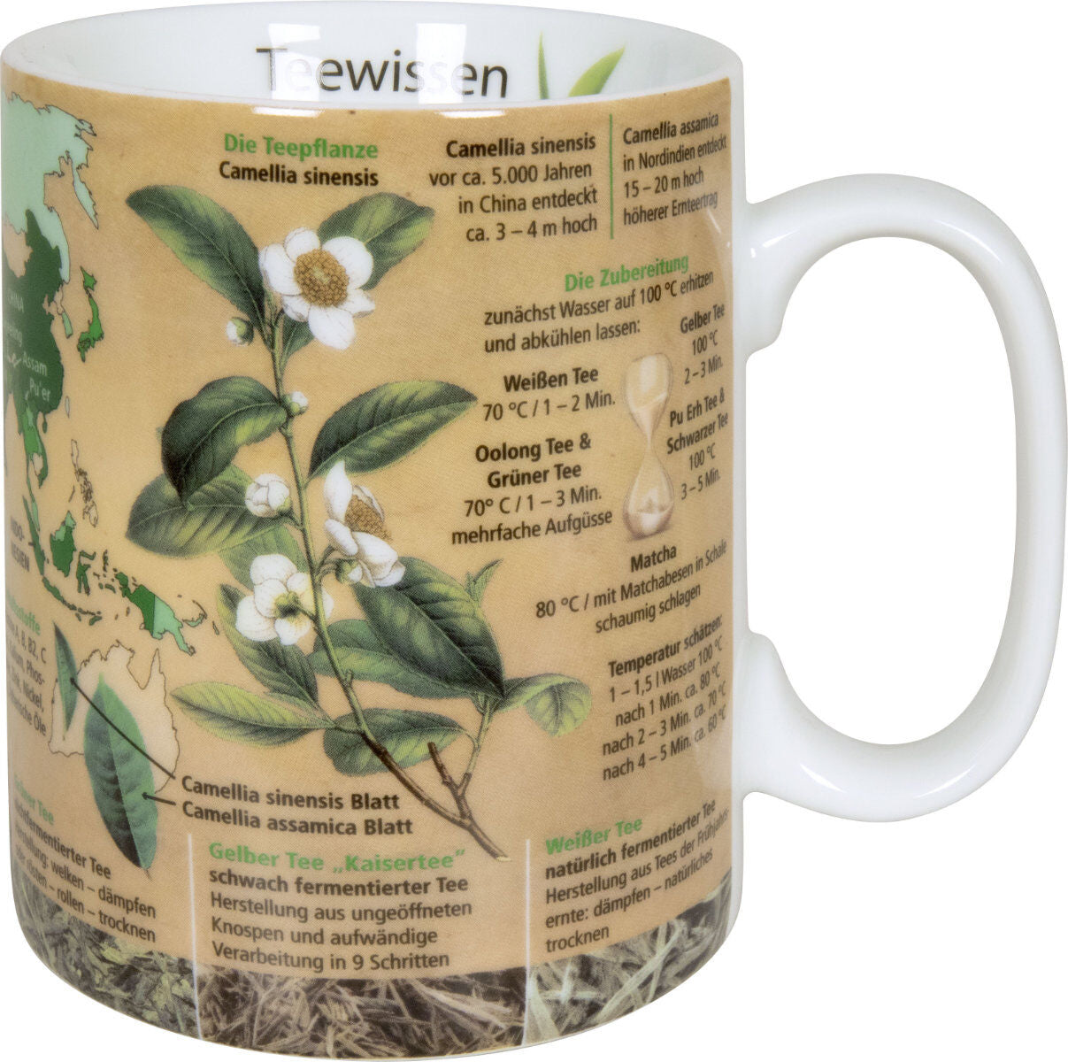 KÖNITZ 1113302638 Wissensbecher TEEWISSEN 490 ml aus Porzellan / Motivbecher