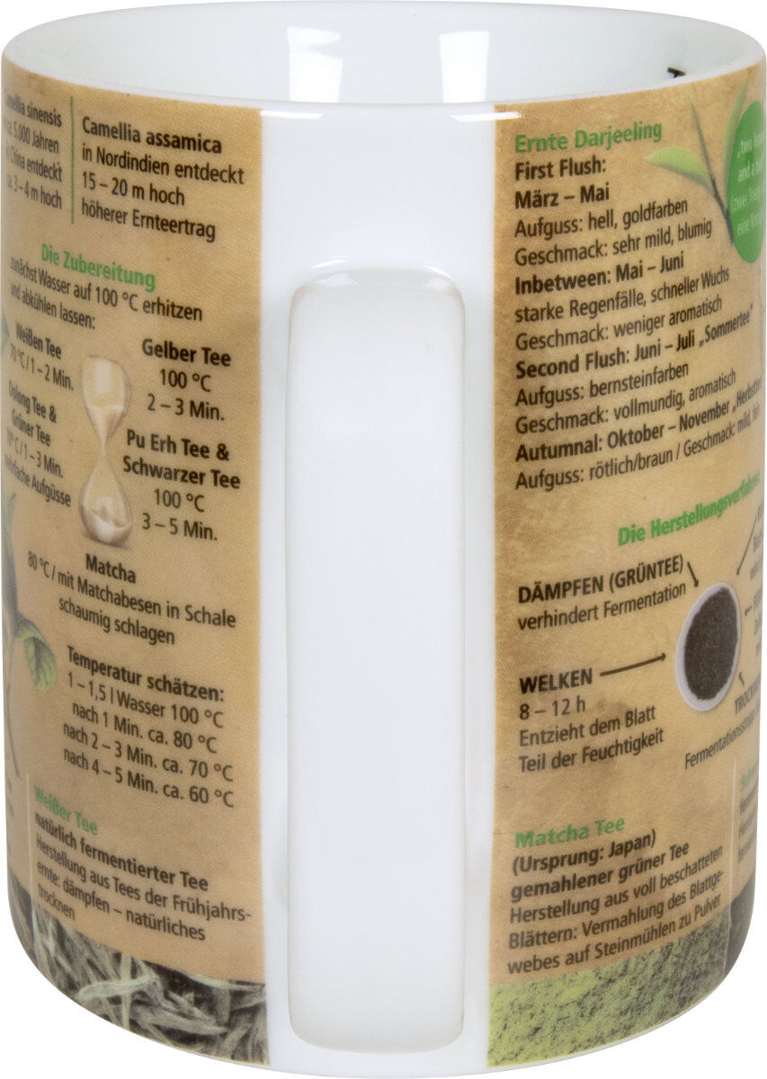 KÖNITZ 1113302638 Wissensbecher TEEWISSEN 490 ml aus Porzellan / Motivbecher – Bild 3