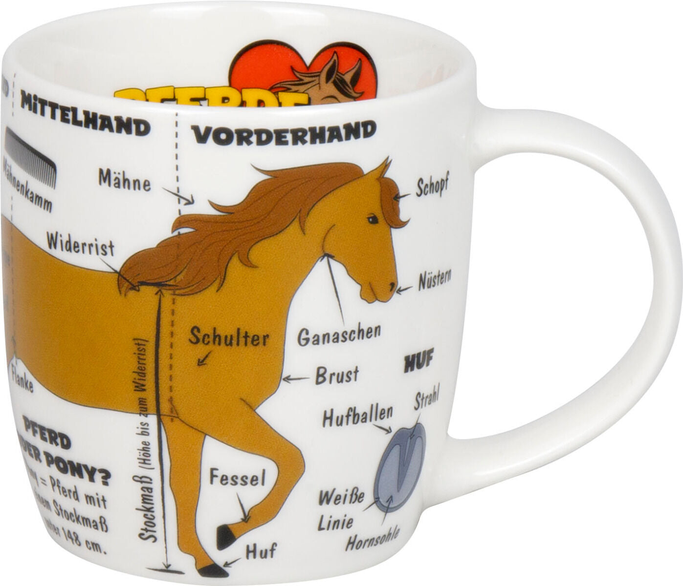 KÖNITZ 1150003027 Kid's Wissen Pferde Kinderset 3-tlg. im Geschenkkarton / Becher, Teller, Müslischale – Bild 2