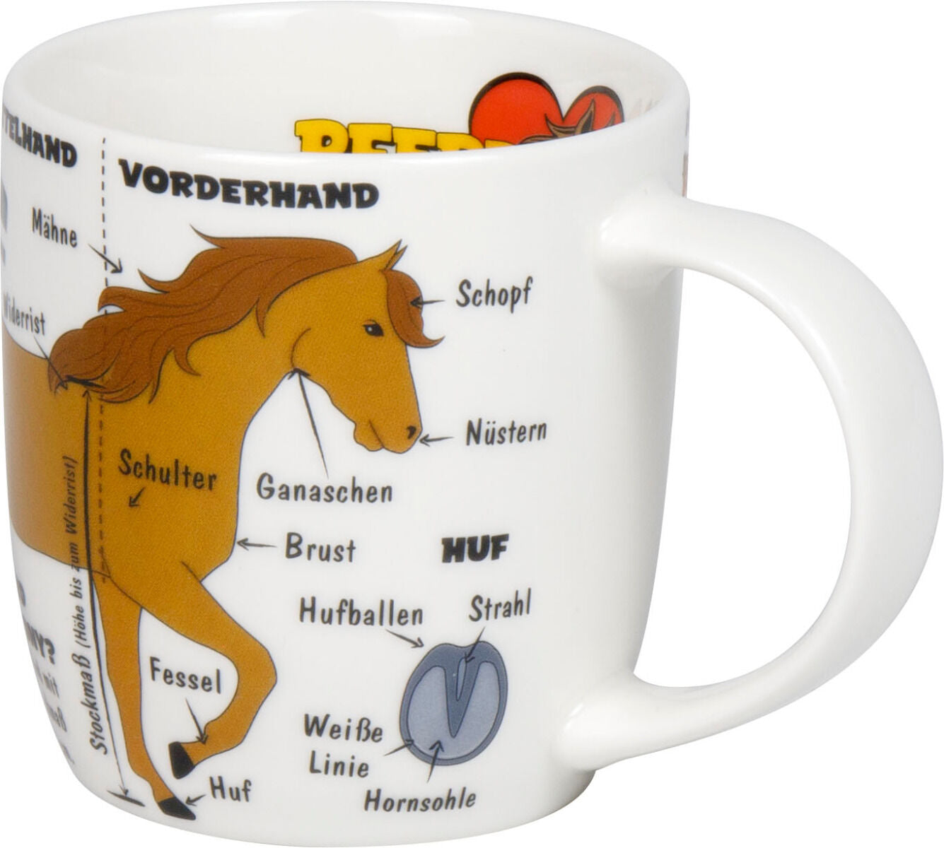KÖNITZ 1172673027 Kid's Wissen Pferde 230 ml aus Porzellan / Kinderbecher – Bild 3