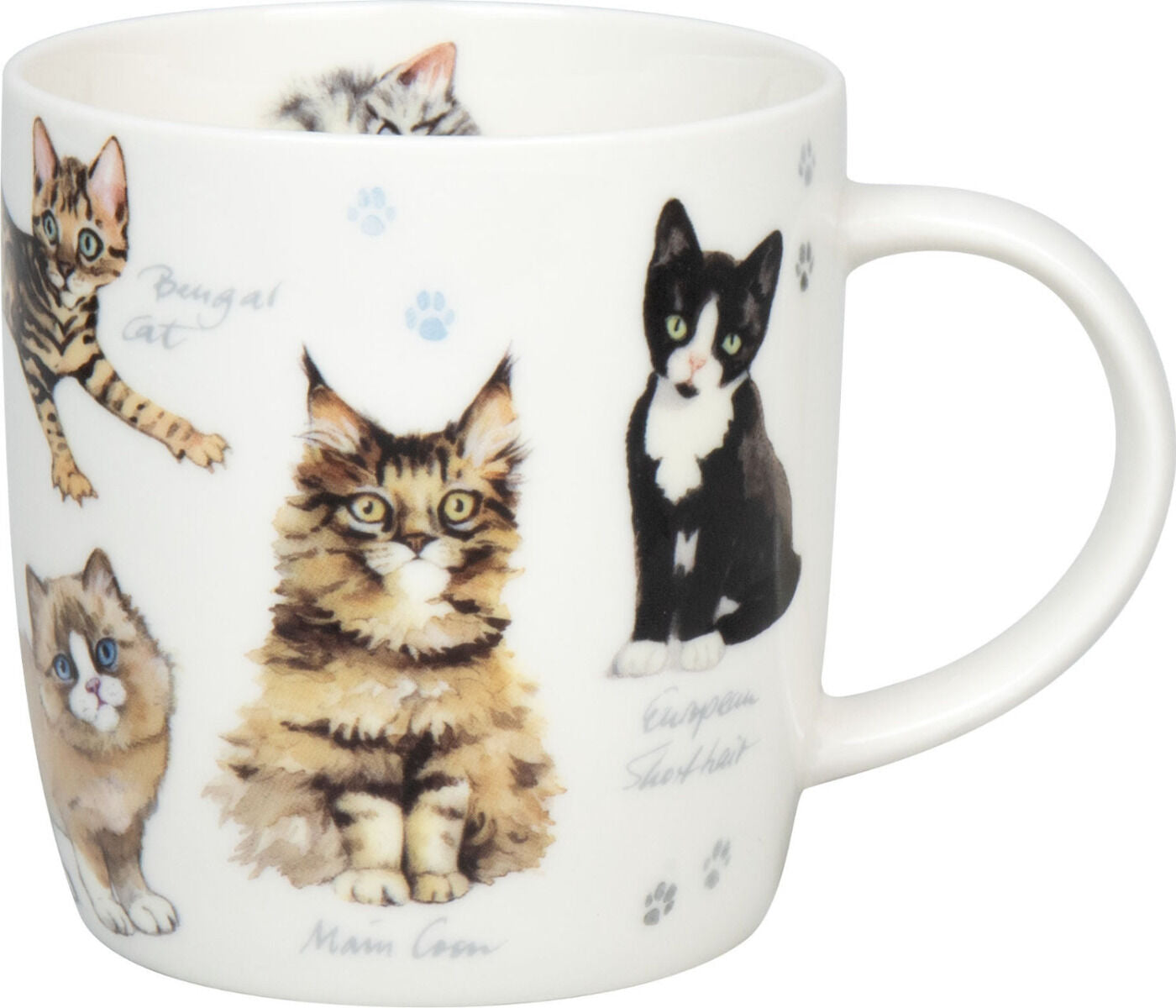 KÖNITZ 1172752866 Becher Natures Diversity - KATZEN 400 ml aus Bone China Porzellan / Artenvielfalt