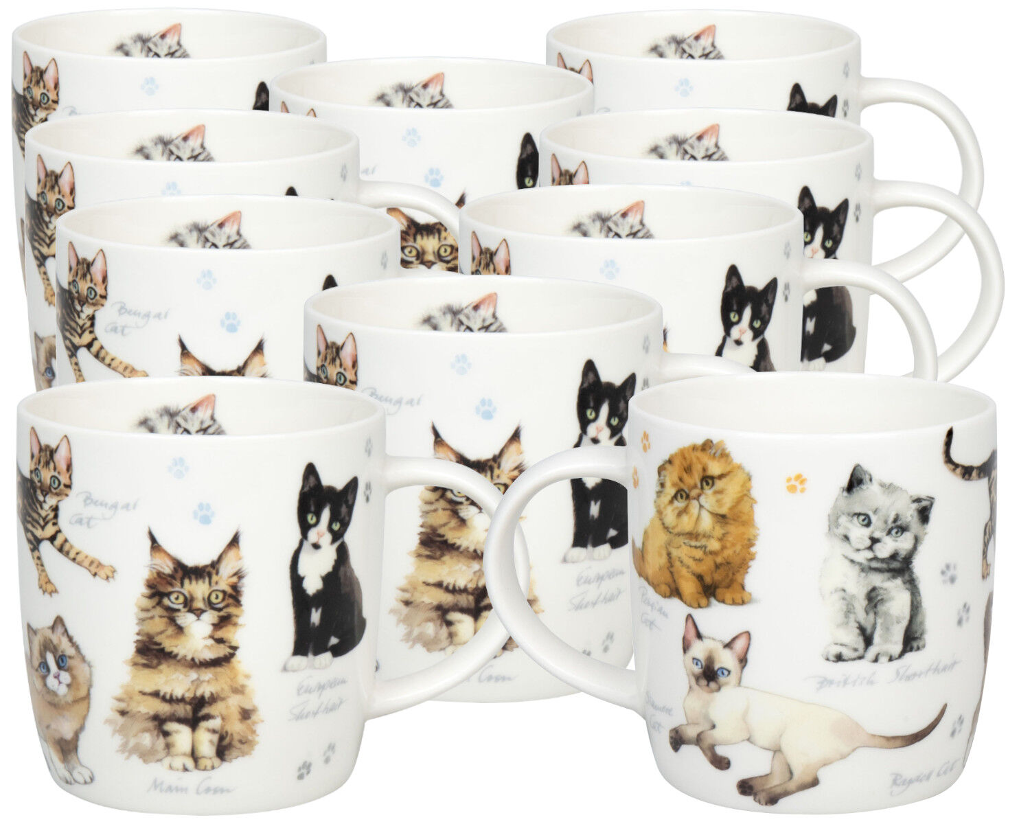 10er SET KÖNITZ 1172752866 Becher Natures Diversity - KATZEN 400 ml aus Bone China Porzellan / Artenvielfalt