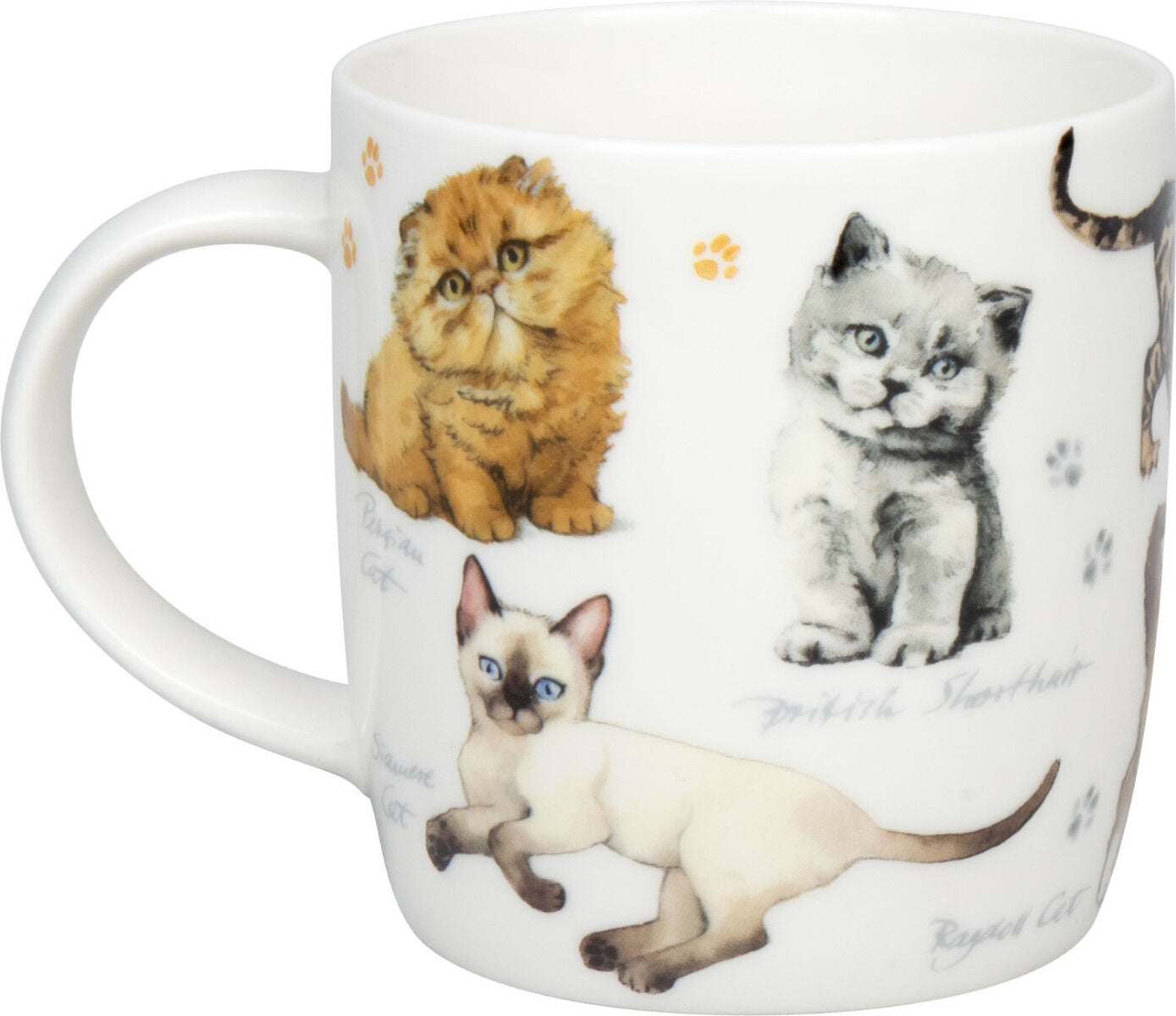 KÖNITZ 1172752866 Becher Natures Diversity - KATZEN 400 ml aus Bone China Porzellan / Artenvielfalt – Bild 2