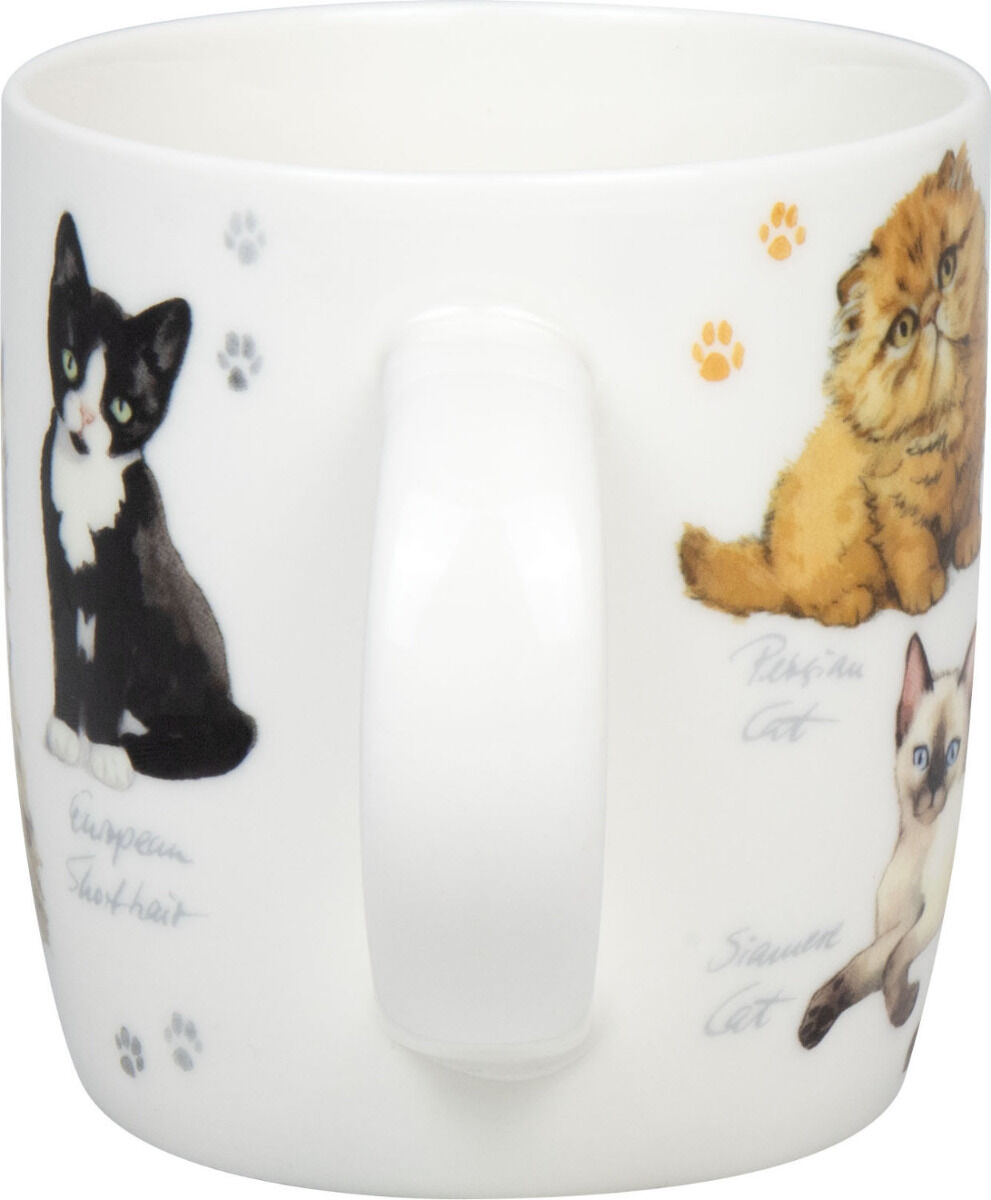 KÖNITZ 1172752866 Becher Natures Diversity - KATZEN 400 ml aus Bone China Porzellan / Artenvielfalt – Bild 3