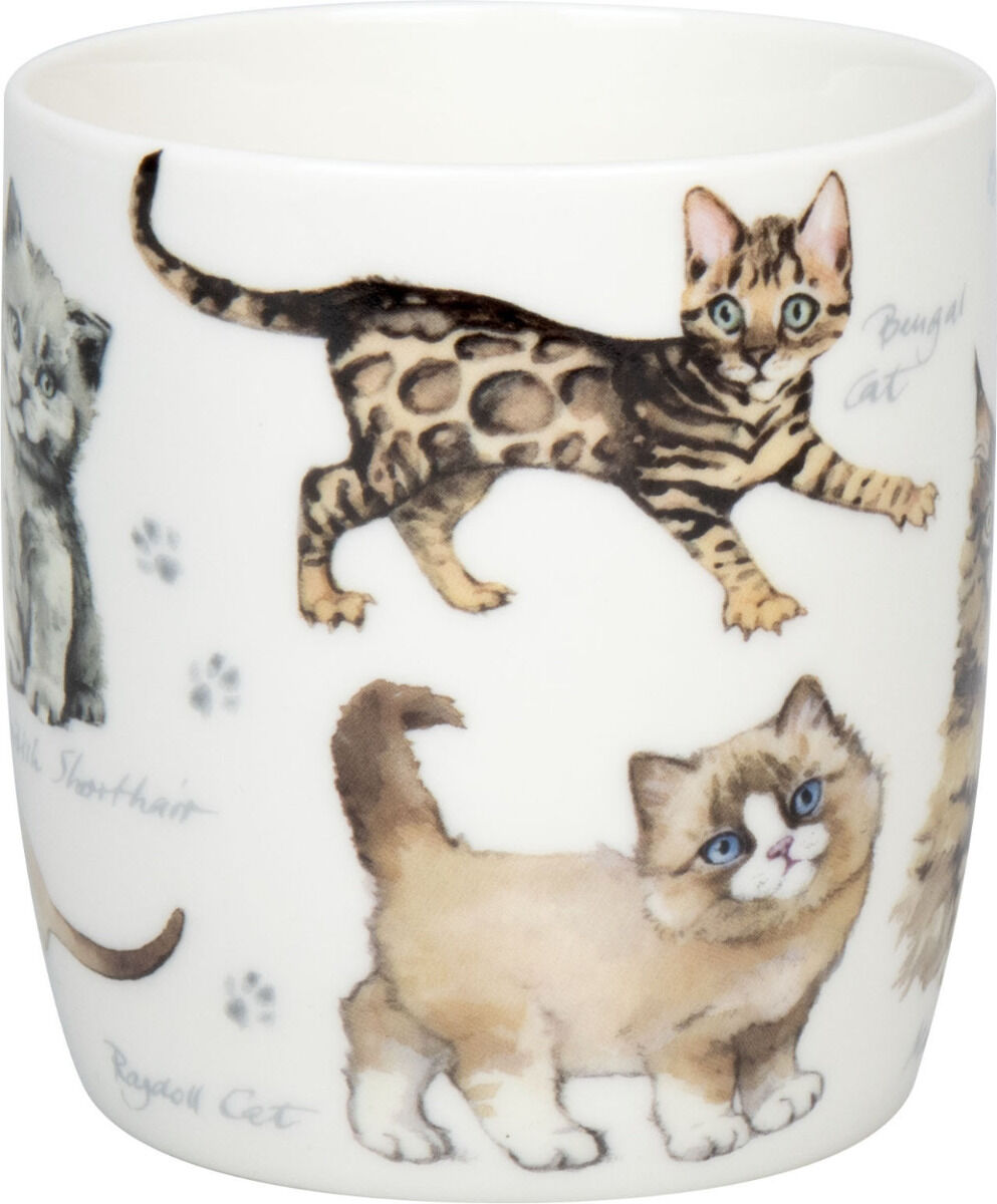 10er SET KÖNITZ 1172752866 Becher Natures Diversity - KATZEN 400 ml aus Bone China Porzellan / Artenvielfalt – Bild 5