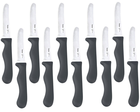 10er SET METALTEX 248132029 CHROMOTHERAPY Basic Brotzeitmesser 21,5 cm - grau