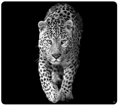 KESPER 3658313 Multi-Glasschneideplatte Motiv LEOPARD, 56 x 50 x 1,4 cm / Glasschneidbrett / Herdabdeckplatte