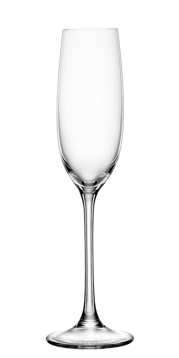 SPIEGELAU 4720175 SALUTE Champagnerglas 4er Set – Bild 3