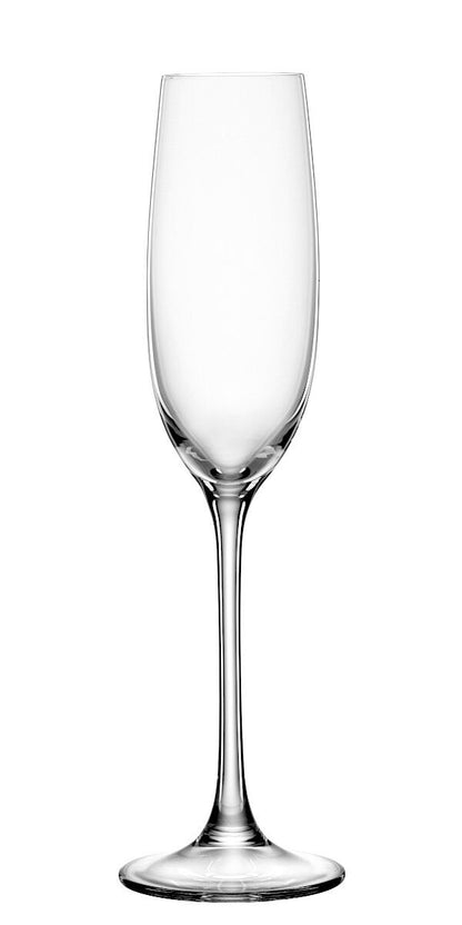 SPIEGELAU 4720175 SALUTE Champagnerglas 4er Set – Bild 3
