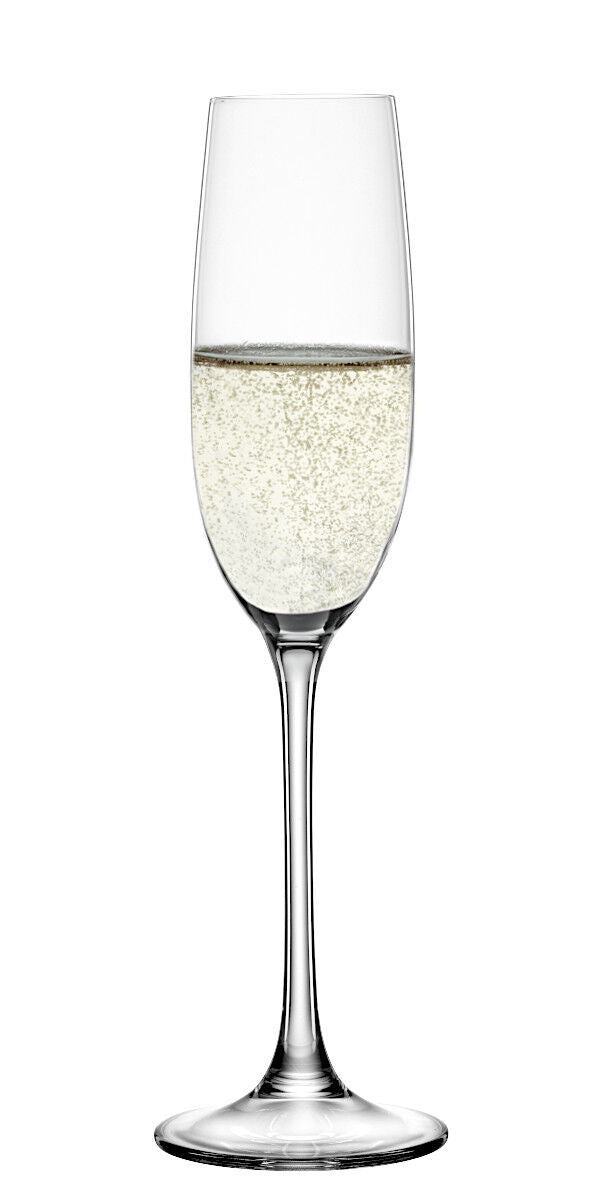 SPIEGELAU 4720175 SALUTE Champagnerglas 4er Set – Bild 4