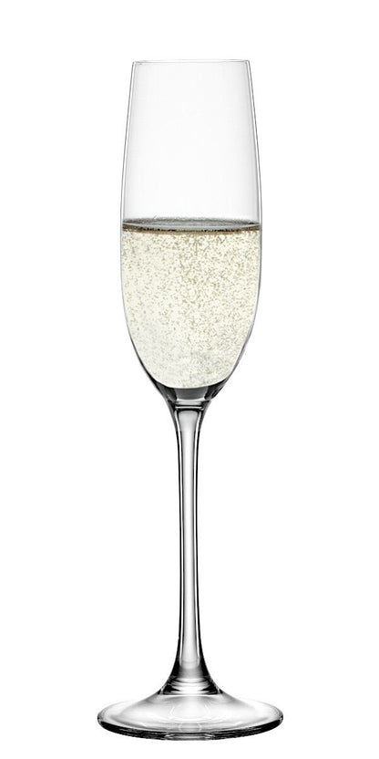 SPIEGELAU 4720175 SALUTE Champagnerglas 4er Set – Bild 4