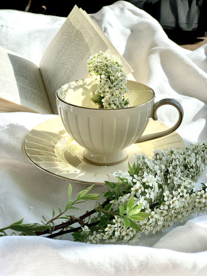 DUO ECRU Tasse 220 ml NINA mit Untertasse, New Bone China Porzellan – Bild 5