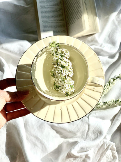 DUO ECRU Tasse 220 ml NINA mit Untertasse, New Bone China Porzellan – Bild 8