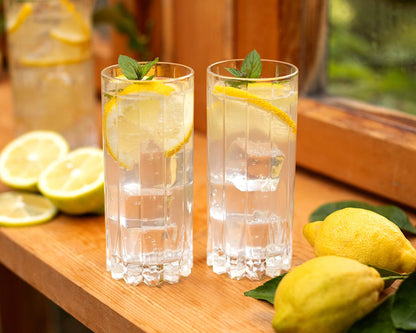 RIEDEL 6417/04 BAR Drink Specific Glassware Highball 2er Set – Bild 8