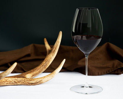 RIEDEL 6884/41 PERFORMANCE Syrah/Shiraz Weinglas 2er Set – Bild 9