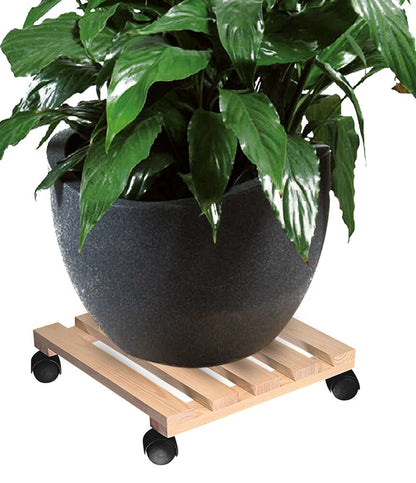 KESPER 69100 Pflanzenroller eckig aus FSC-zertifiziertem Kiefernholz / Pflanzenstand / Rollunterlage
