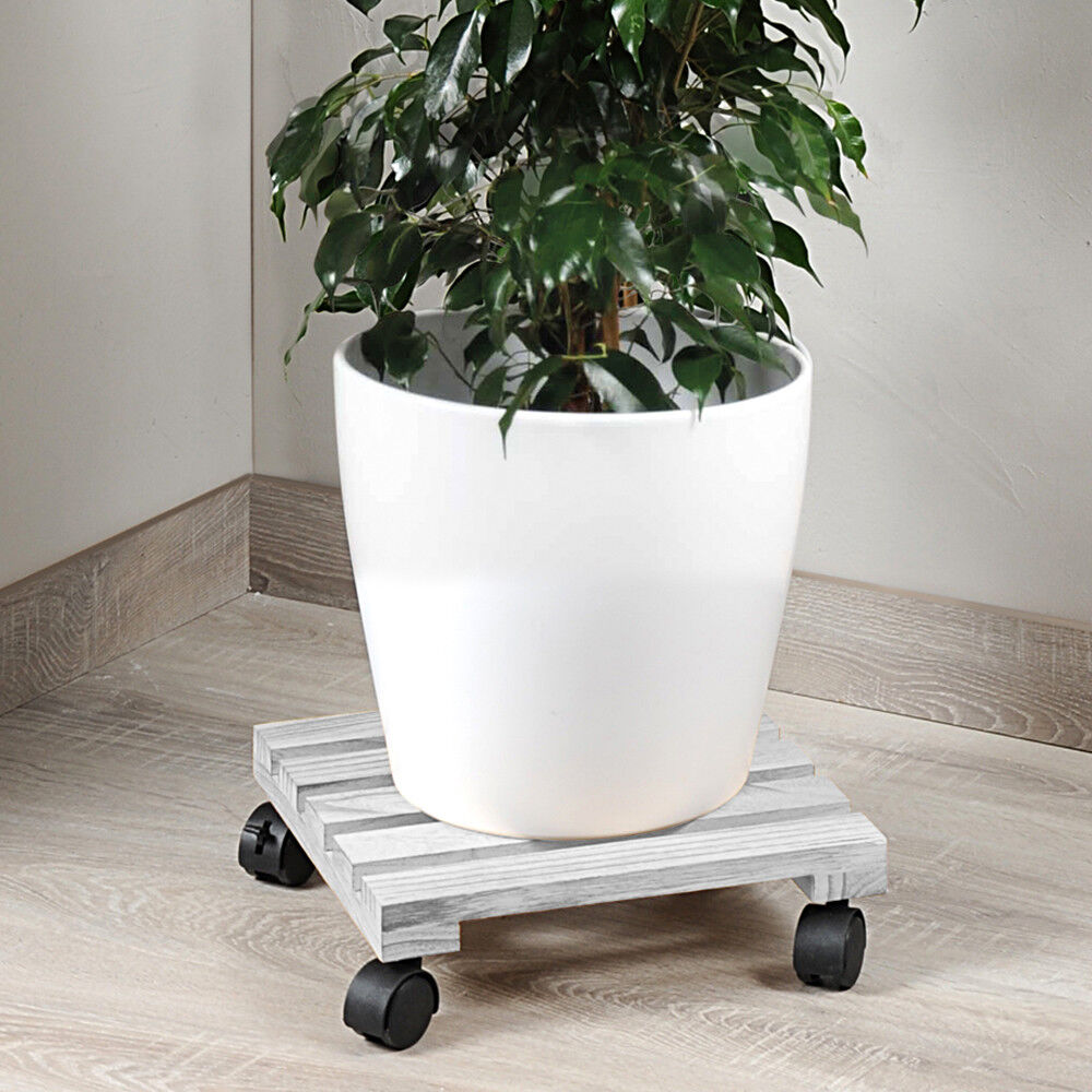 KESPER 69105 Pflanzenroller aus FSC-zertifiziertem Pappelholz, grau, 30 x 30 x 8 cm