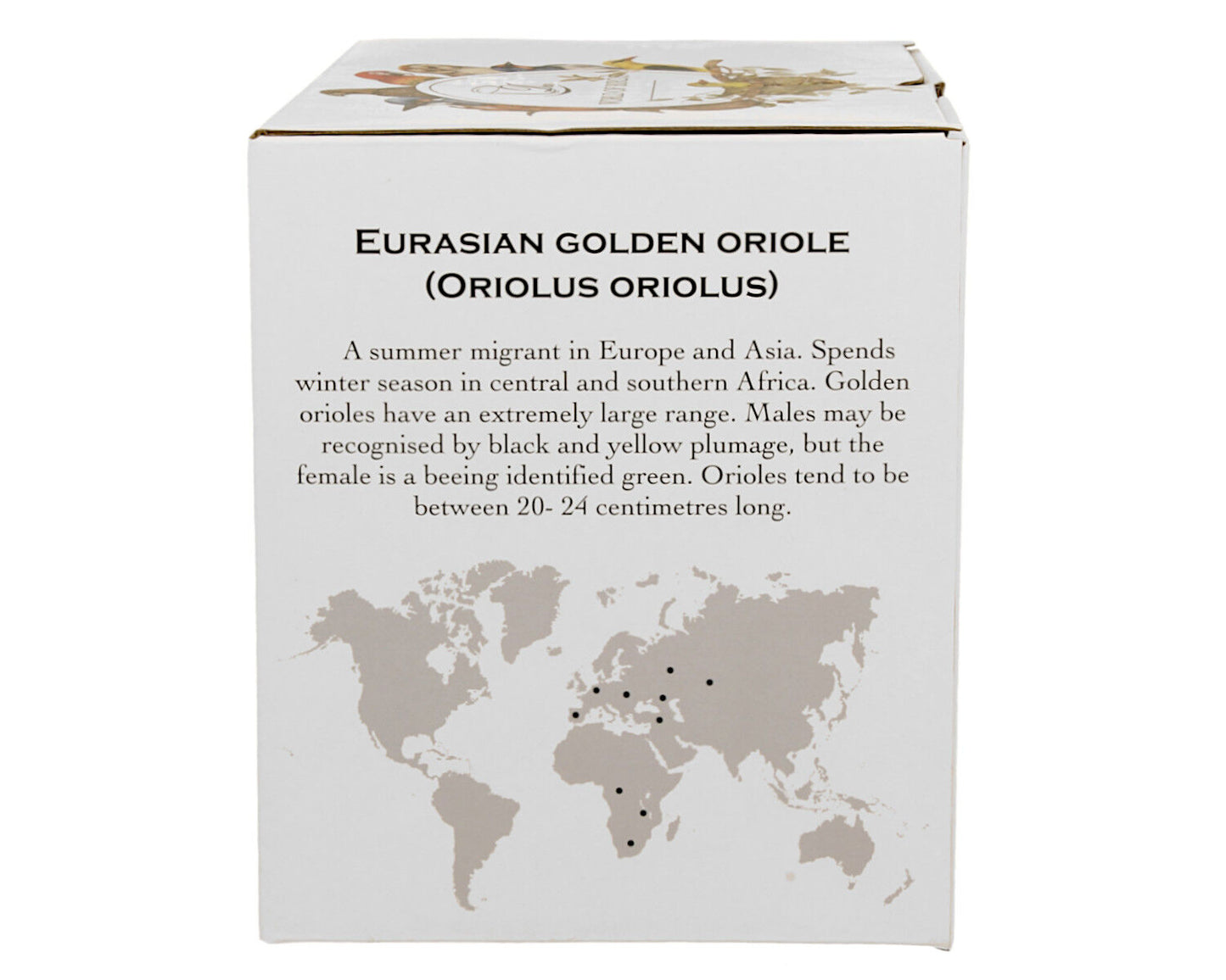 DUO World of Birds XXL Becher 1000 ml EURASIAN GOLDEN ORIOLE New Bone China Porzellan – Bild 4