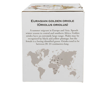 DUO World of Birds 400 ml Becher mit Teesieb EURASIAN GOLDEN ORIOLE New Bone China Porzellan – Bild 7