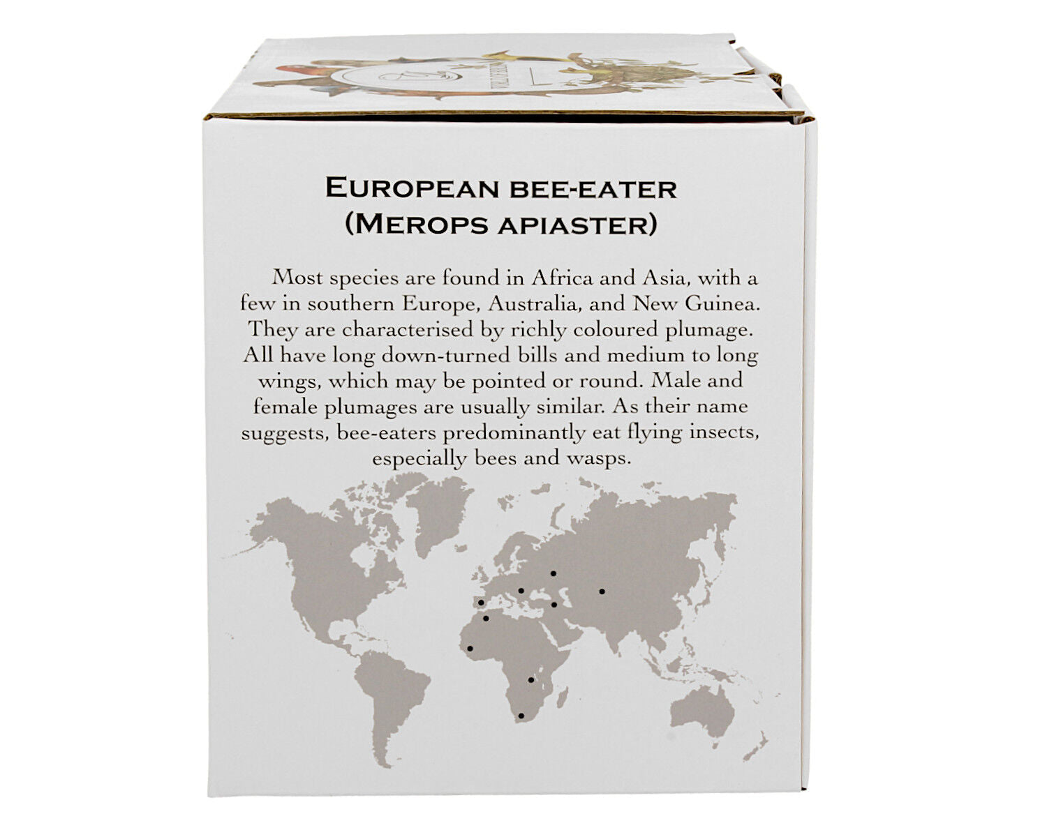 DUO World of Birds XXL Becher 1000 ml EUROPEAN BEE-EATER New Bone China Porzellan – Bild 4