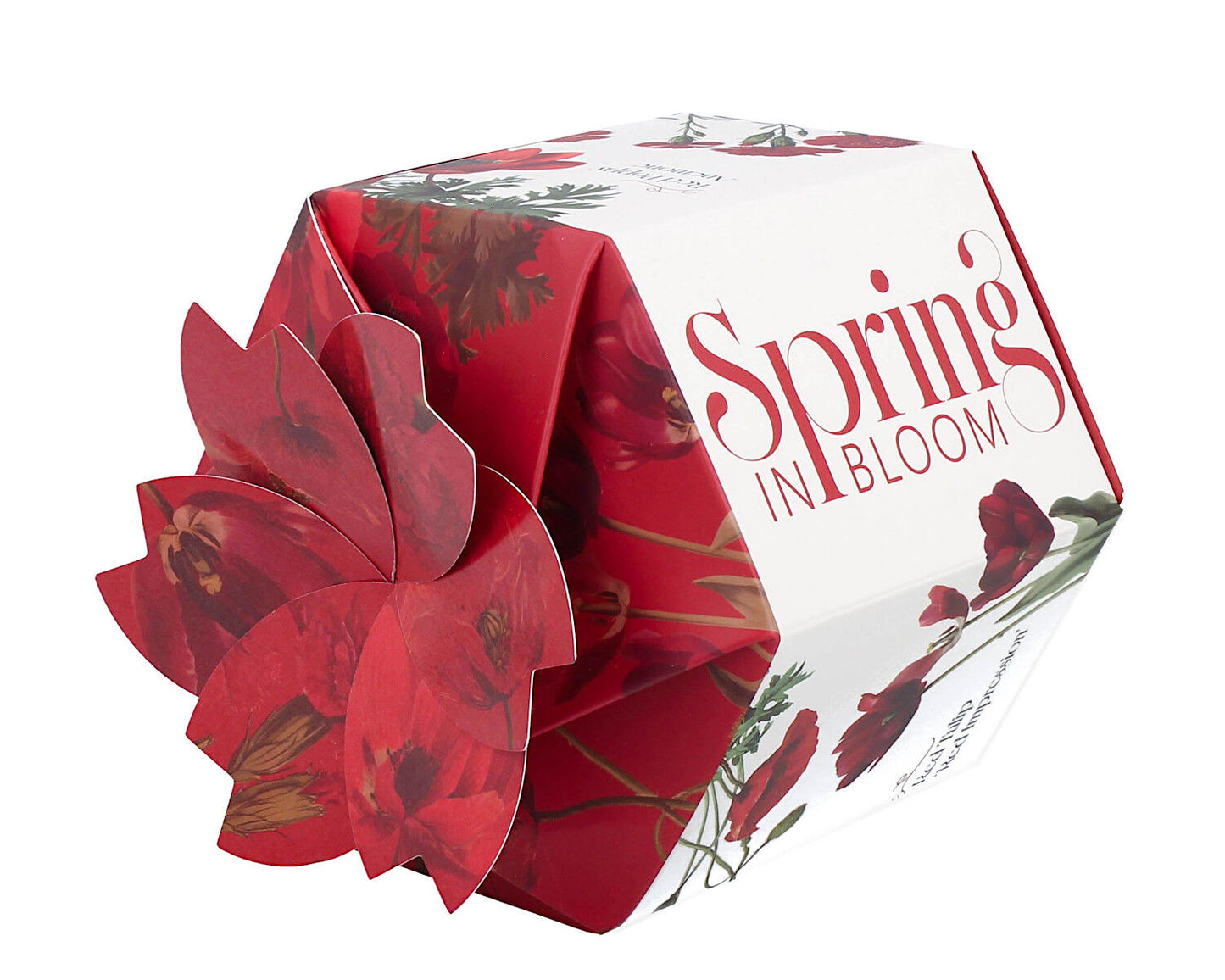 DUO Spring in bloom Becher 400 ml RED FLOWERS in dekorativer Box, New Bone China Porzellan – Bild 4
