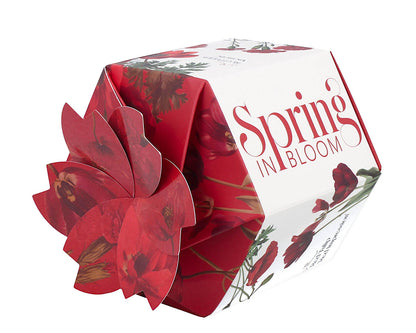 DUO Spring in bloom Becher 400 ml RED FLOWERS in dekorativer Box, New Bone China Porzellan – Bild 4