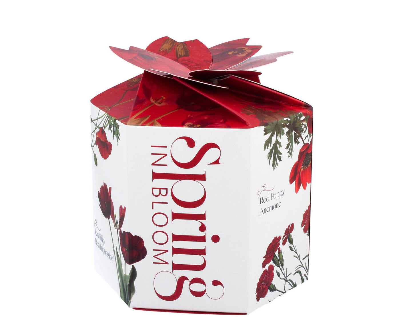 DUO Spring in bloom Becher 400 ml RED FLOWERS in dekorativer Box, New Bone China Porzellan – Bild 3