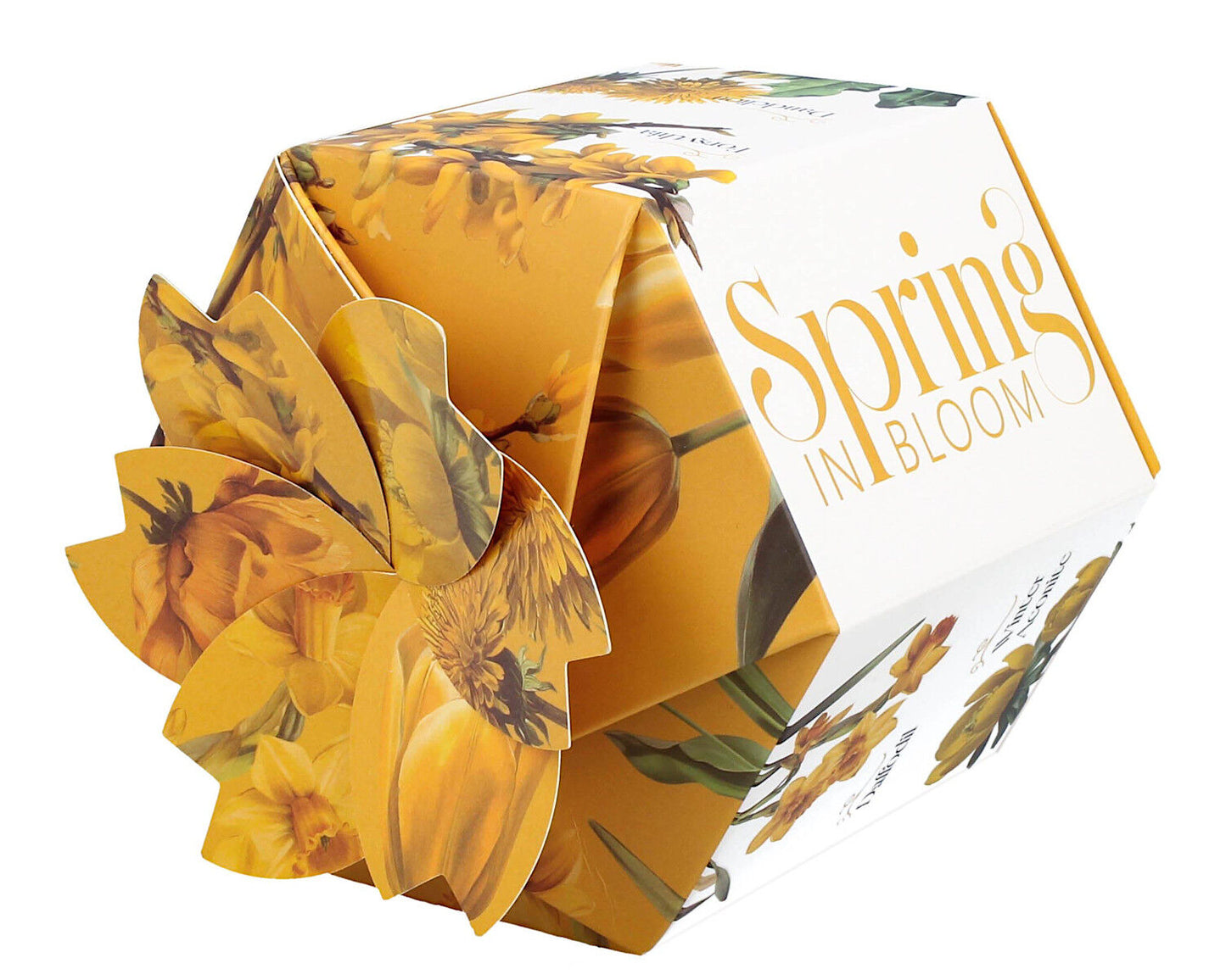 DUO Spring in bloom Becher 400 ml YELLOW FLOWERS in dekorativer Box, New Bone China Porzellan – Bild 5