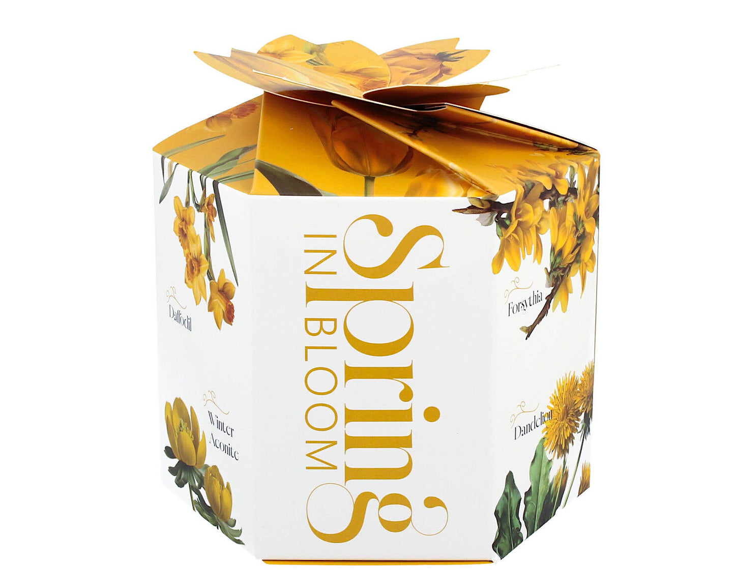 DUO Spring in bloom Becher 400 ml YELLOW FLOWERS in dekorativer Box, New Bone China Porzellan – Bild 6