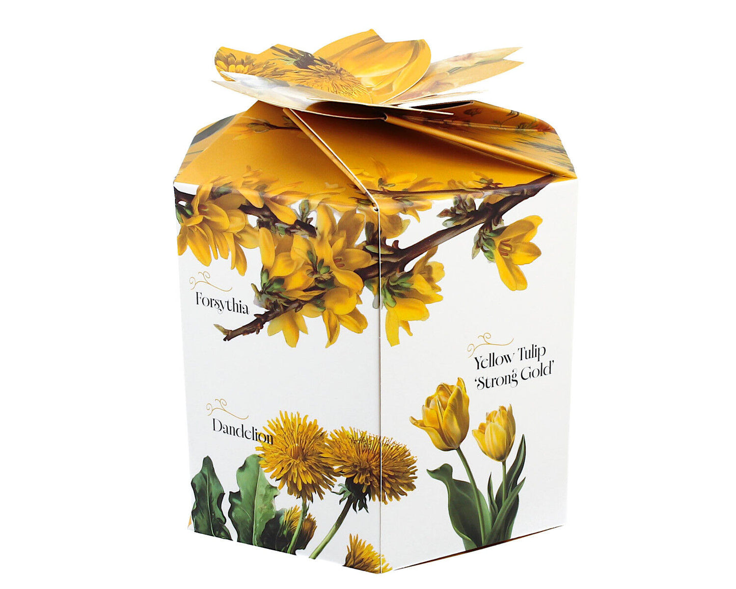 DUO Spring in bloom Becher 400 ml YELLOW FLOWERS in dekorativer Box, New Bone China Porzellan – Bild 9