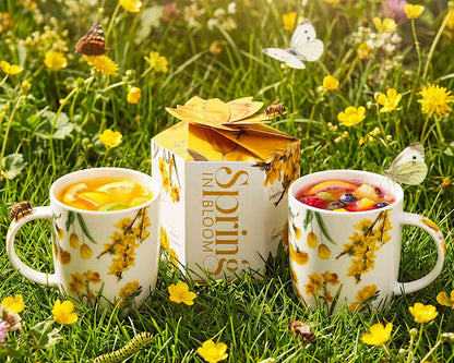 DUO Spring in bloom Becher 400 ml YELLOW FLOWERS in dekorativer Box, New Bone China Porzellan – Bild 7