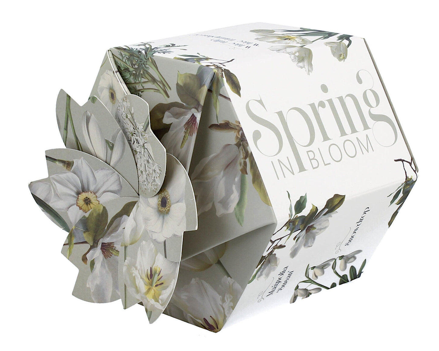DUO Spring in bloom Becher 400 ml WHITE FLOWERS in dekorativer Box, New Bone China Porzellan – Bild 7