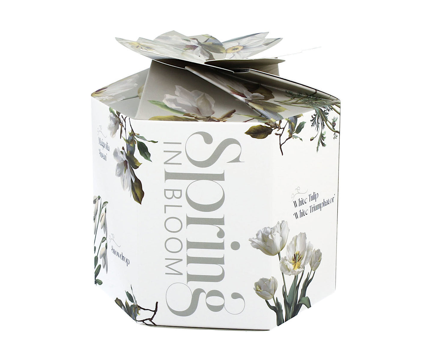 DUO Spring in bloom Becher 400 ml WHITE FLOWERS in dekorativer Box, New Bone China Porzellan – Bild 3