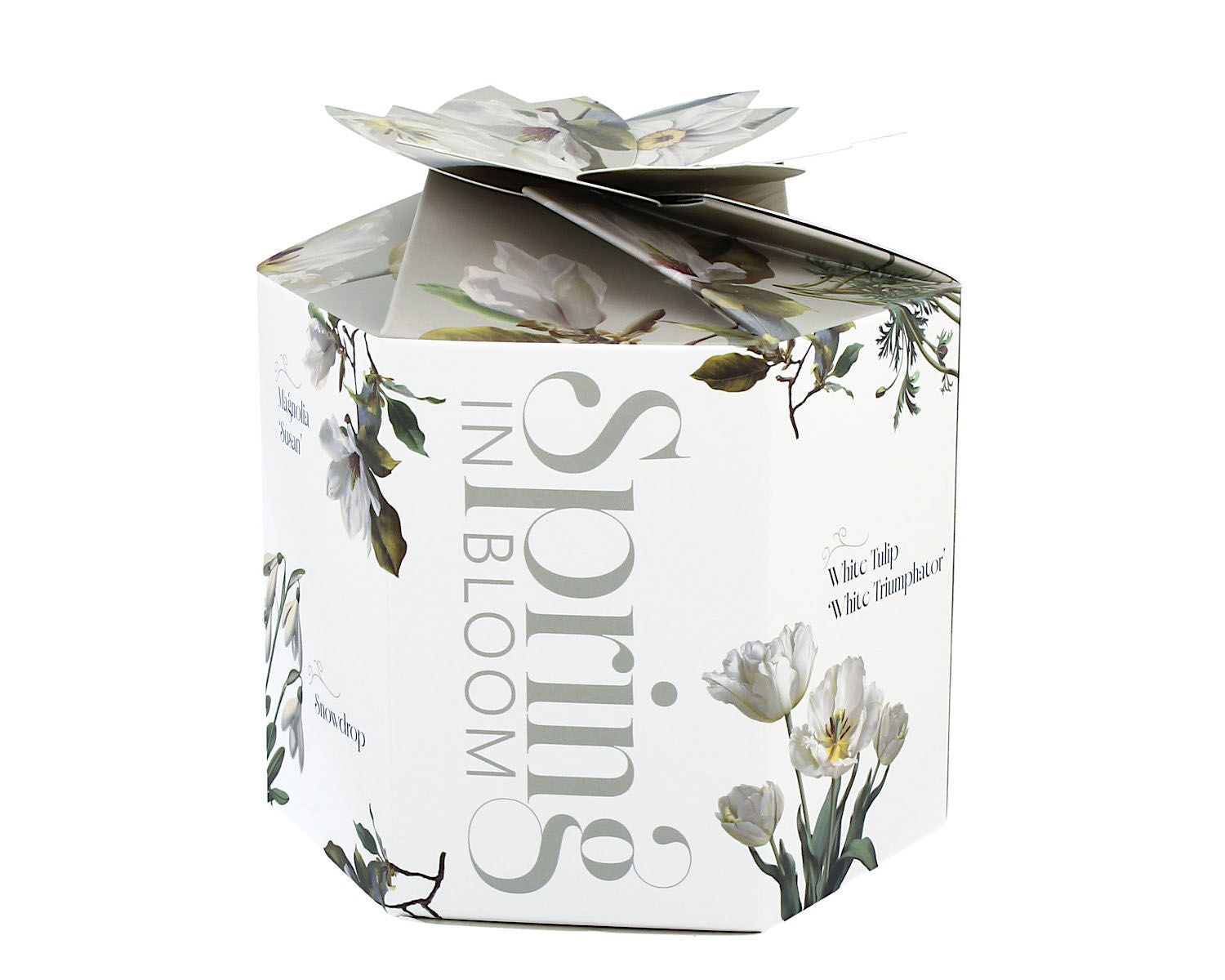 DUO Spring in bloom Becher 400 ml WHITE FLOWERS in dekorativer Box, New Bone China Porzellan – Bild 3