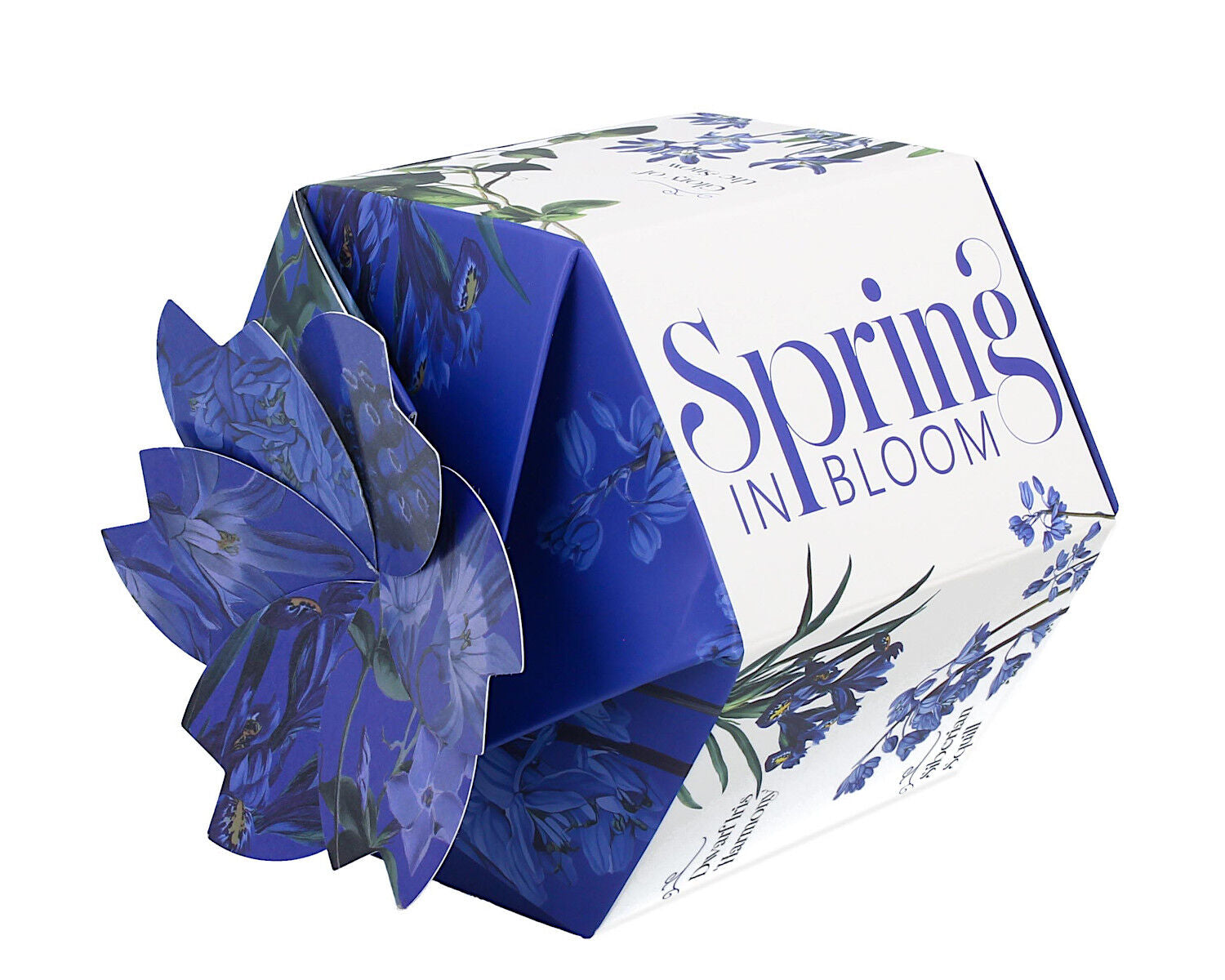 DUO Spring in bloom Becher 400 ml BLUE FLOWERS in dekorativer Box, New Bone China Porzellan – Bild 5