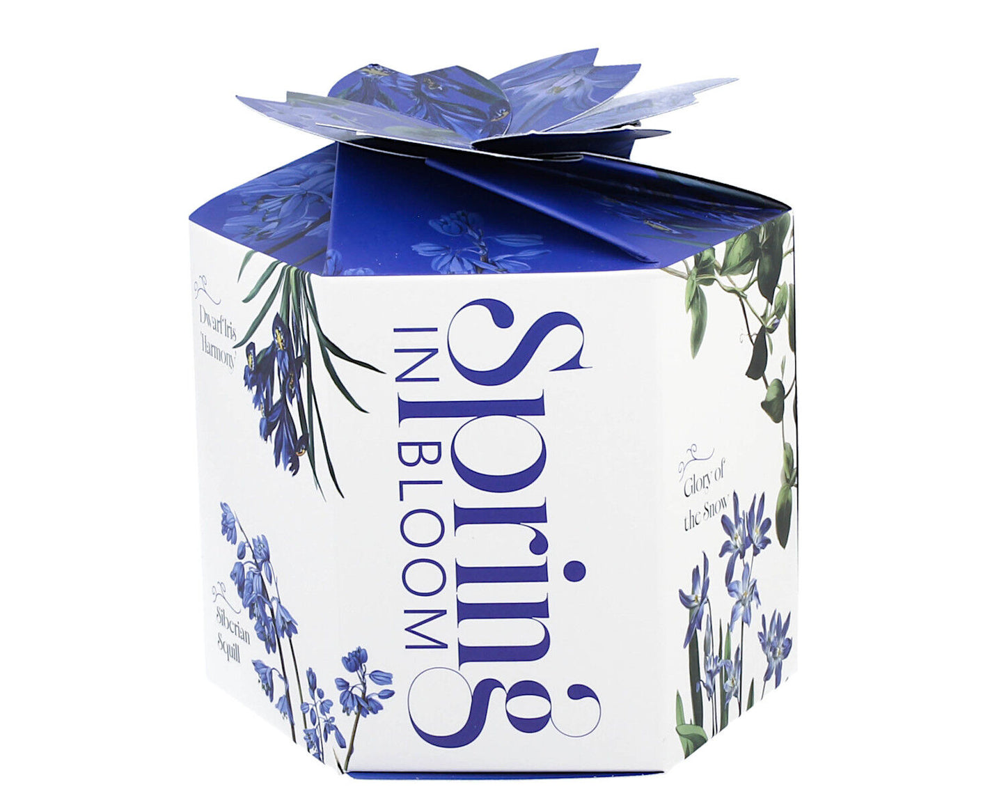 DUO Spring in bloom Becher 400 ml BLUE FLOWERS in dekorativer Box, New Bone China Porzellan – Bild 4