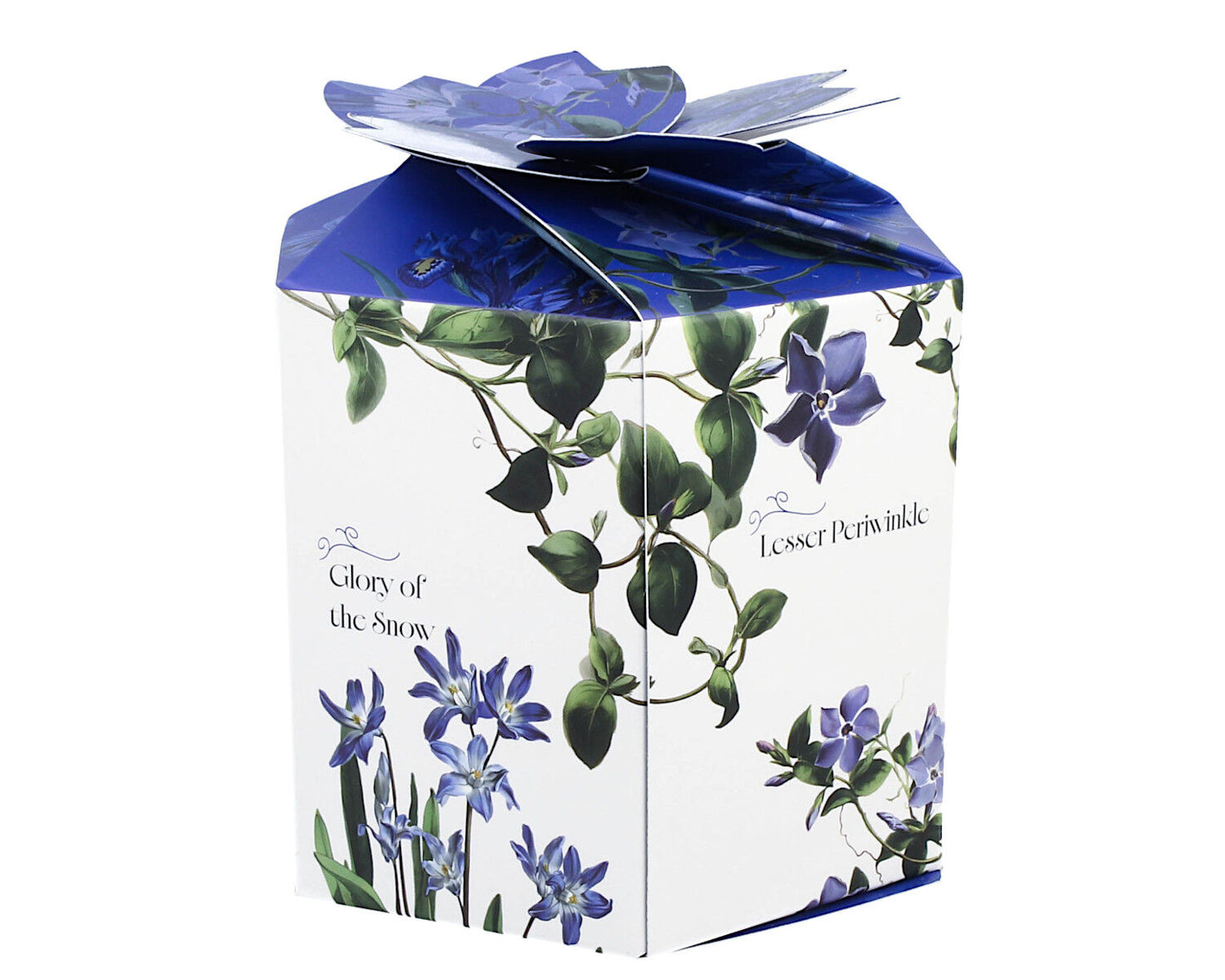 DUO Spring in bloom Becher 400 ml BLUE FLOWERS in dekorativer Box, New Bone China Porzellan – Bild 3